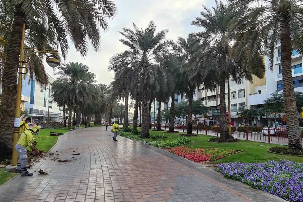 muteena park dubai - دبئي ڊائري دبئي جو ادبي ۽ ثقافتي منظرنامو