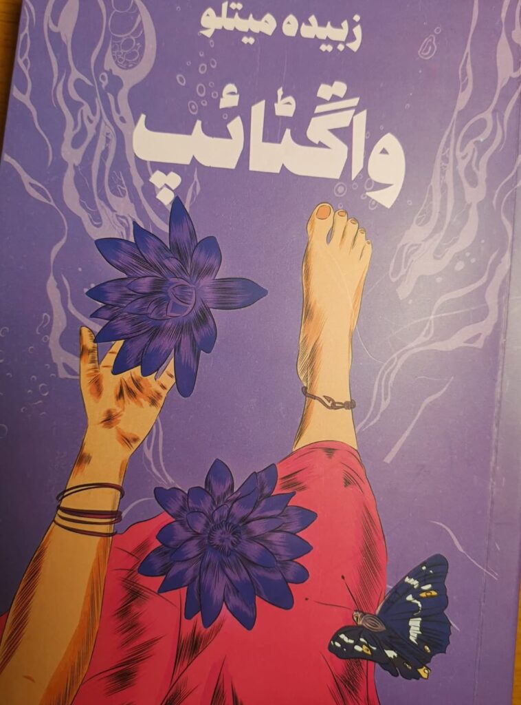 Sarangaa دل جي ڊائري Sarangaa دل جي ڊائري